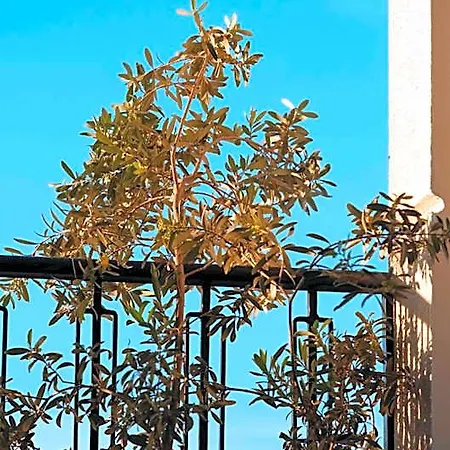 Hotel Belci House