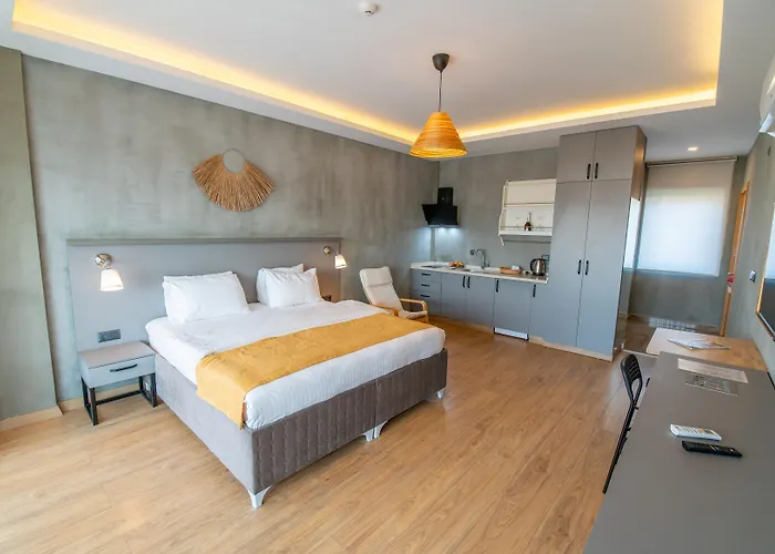 酒店 Belci House 2*