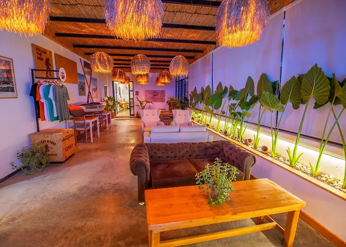 酒店 Belci House